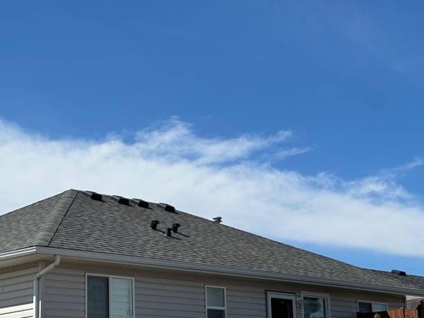 Fast & Reliable Emergency Roof Repairs in West Point, MS